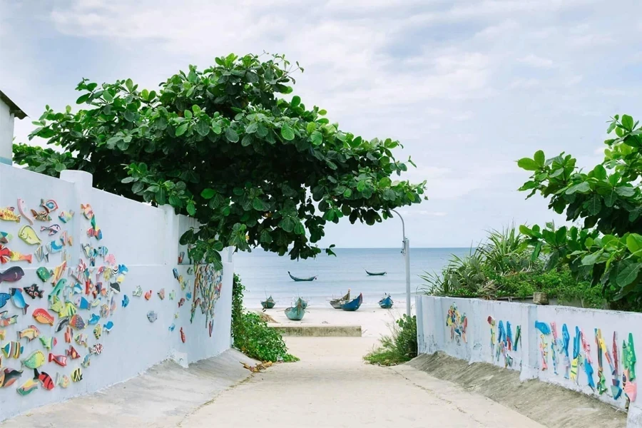 Tam Ky to Hoi An private car