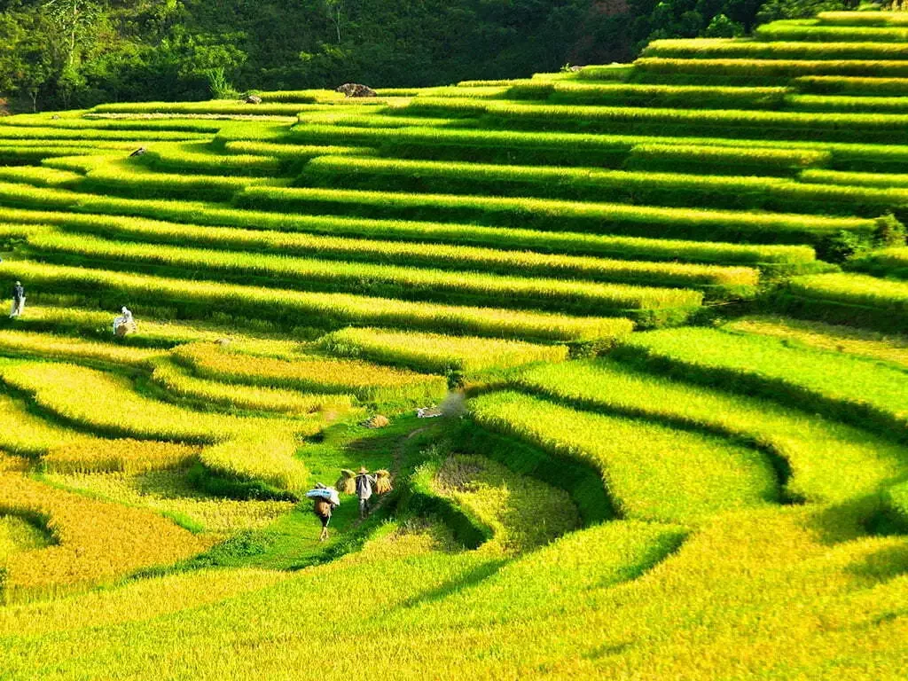 Pu Luong day trip from Hanoi