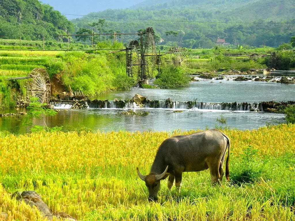 Pu Luong 2 days 1 night off-road trekking tour 7