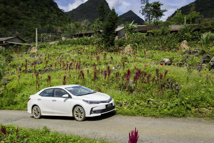 Hanoi city / Hanoi airport to Bac Ha Private Car 