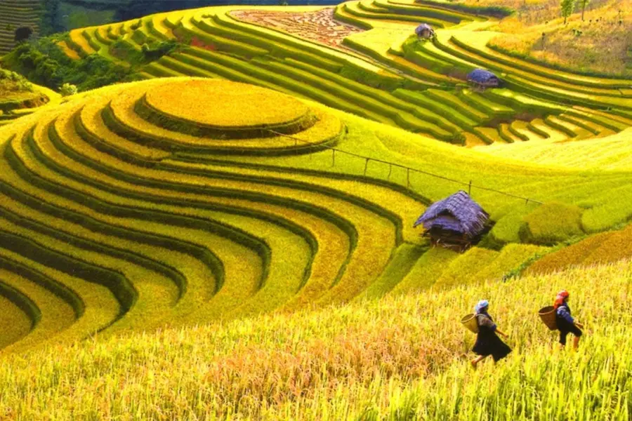 Mai Chau to Pu Luong private car 7