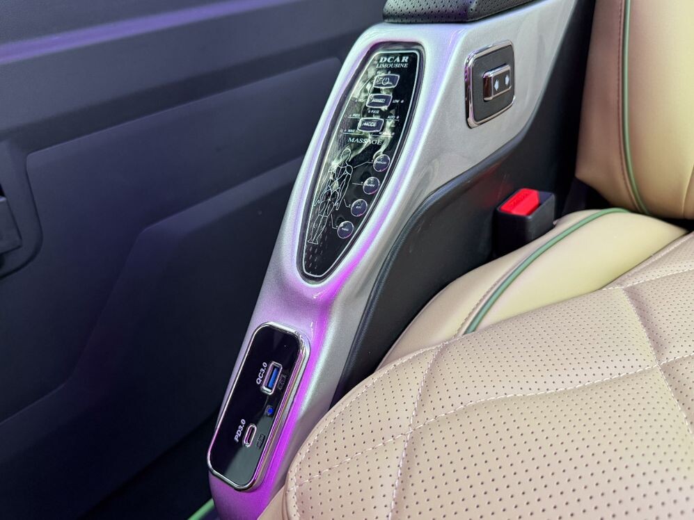 Ho Chi Minh City to Can Tho luxury limousine van 5