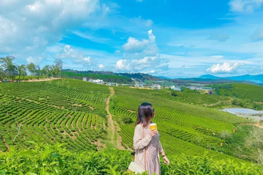 Phan Rang to Da Lat private car  5