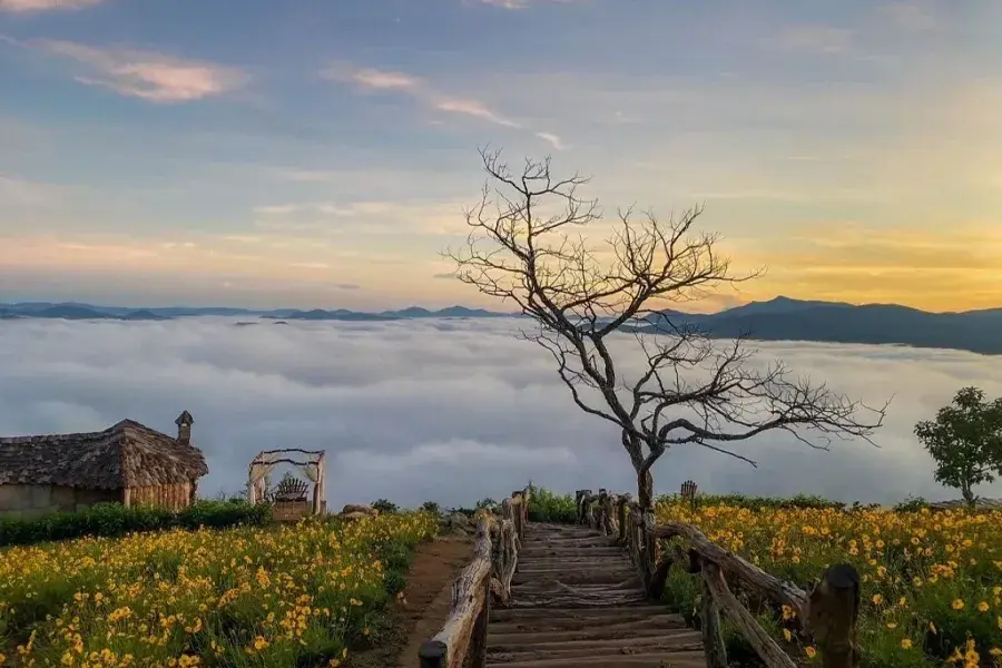 Cat Tien National Park to Da Lat private car 6