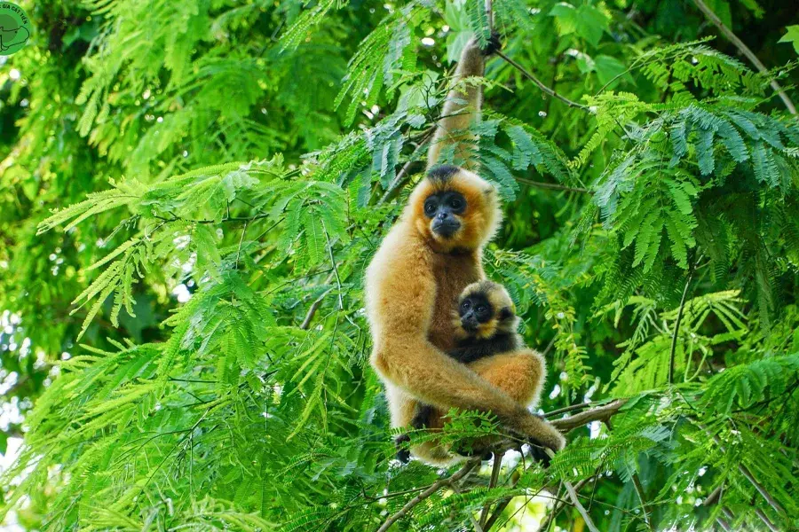 Da Lat to Cat Tien National Park private car 3