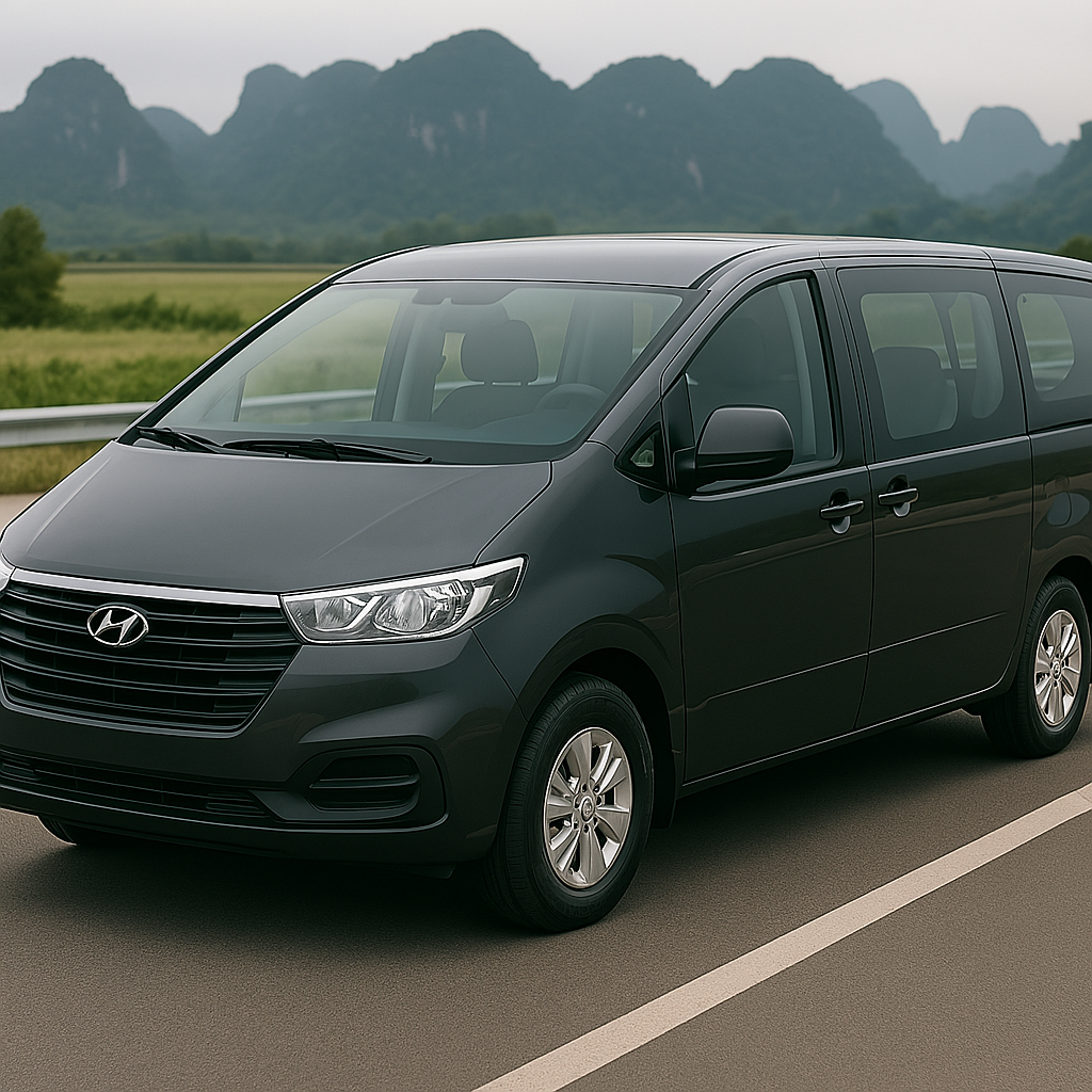 Hanoi Ninh Binh one day charter car