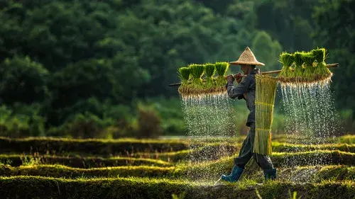 Around Vietnam 2 Weeks Tour